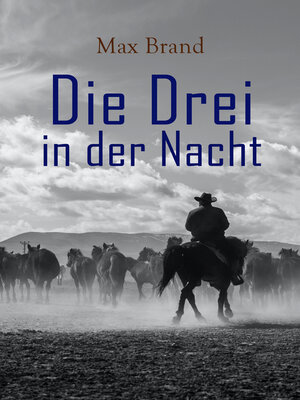 cover image of Die Drei in der Nacht